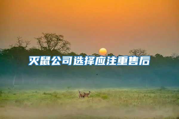 滅鼠公司選擇應注重售后