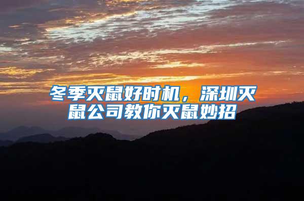 冬季滅鼠好時機,深圳滅鼠公司教你滅鼠妙招