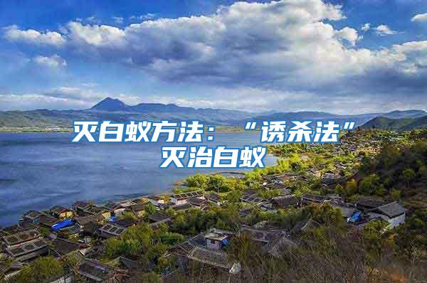 滅白蟻方法:“誘殺法”滅治白蟻