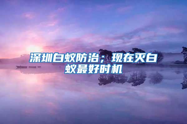 深圳白蟻防治;現在滅白蟻最好時機
