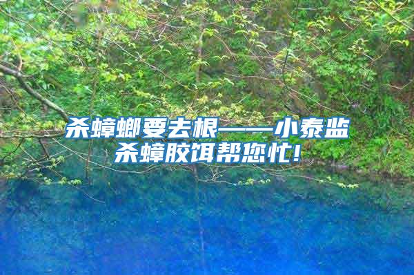 殺蟑螂要去根——小泰監殺蟑膠餌幫您忙!