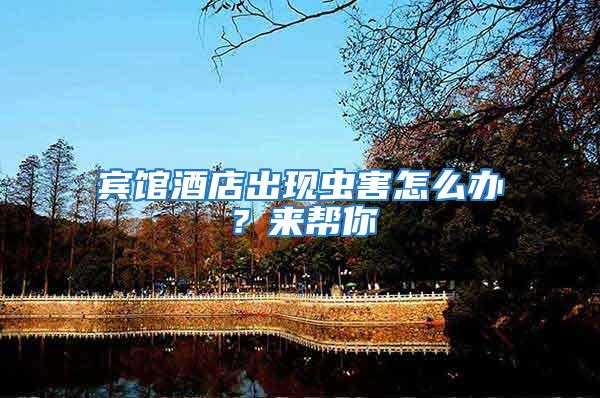 賓館酒店出現蟲害怎么辦?來幫你