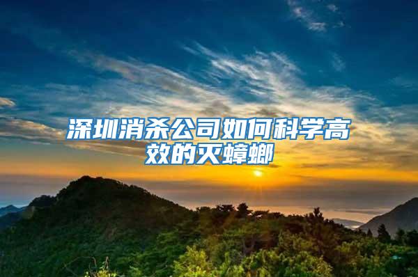 深圳消殺公司如何科學高效的滅蟑螂
