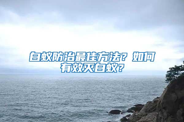 白蟻防治最佳方法？如何有效滅白蟻？