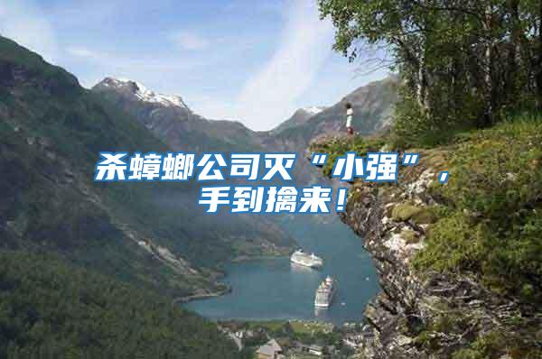 殺蟑螂公司滅“小強”,手到擒來!