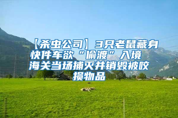 【殺蟲公司】3只老鼠藏身快件車欲“偷渡”入境 海關當場捕滅并銷毀被咬損物品