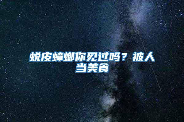 蛻皮蟑螂你見過嗎?被人當美食