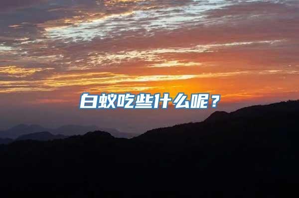 白蟻吃些什么呢?