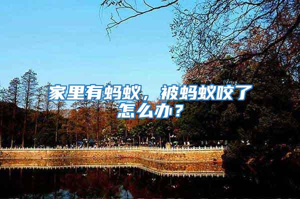 家里有螞蟻,被螞蟻咬了怎么辦?