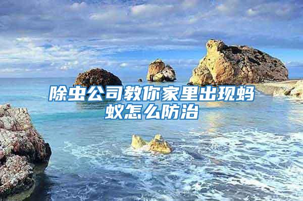 除蟲公司教你家里出現螞蟻怎么防治