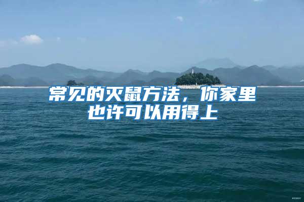 常見(jiàn)的滅鼠方法，你家里也許可以用得上