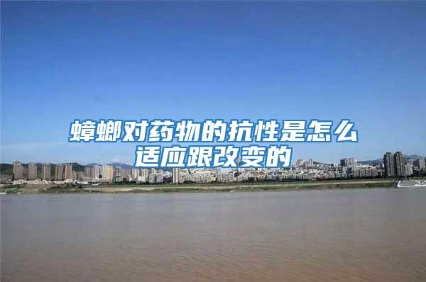 蟑螂對藥物的抗性是怎么適應跟改變的