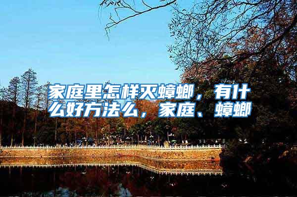 家庭里怎樣滅蟑螂，有什么好方法么，家庭、蟑螂