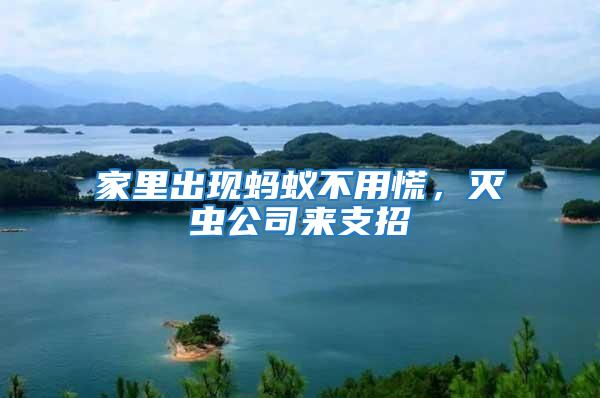 家里出現螞蟻不用慌,滅蟲公司來支招