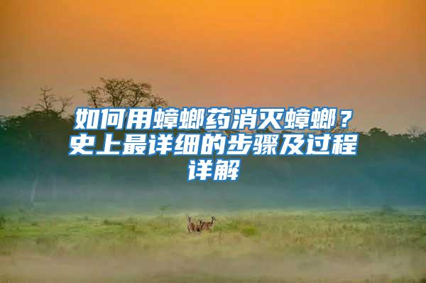 如何用蟑螂藥消滅蟑螂?史上最詳細的步驟及過程詳解