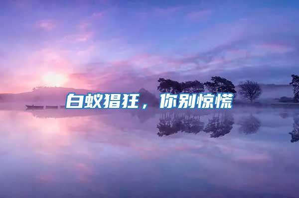 白蟻猖狂，你別驚慌