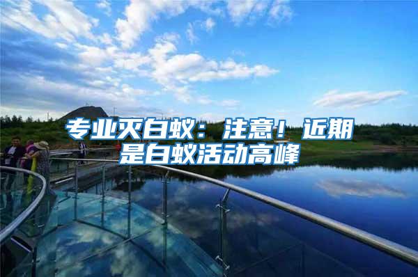 專業滅白蟻：注意！近期是白蟻活動高峰