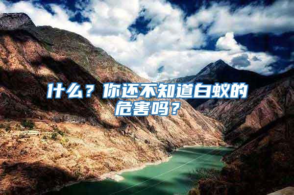 什么？你還不知道白蟻的危害嗎？