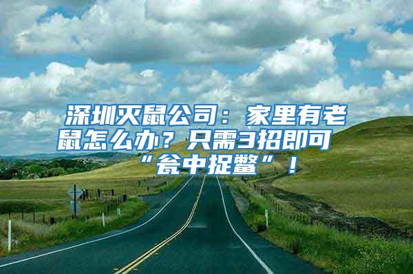深圳滅鼠公司:家里有老鼠怎么辦?只需3招即可“甕中捉鱉”!