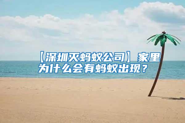 【深圳滅螞蟻公司】家里為什么會有螞蟻出現?