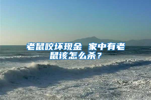 老鼠咬壞現金 家中有老鼠該怎么殺?