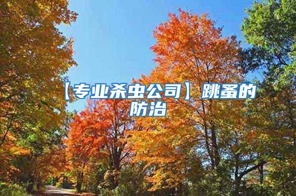 【專業殺蟲公司】跳蚤的防治