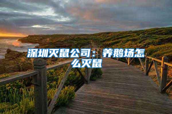 深圳滅鼠公司：養鵝場怎么滅鼠