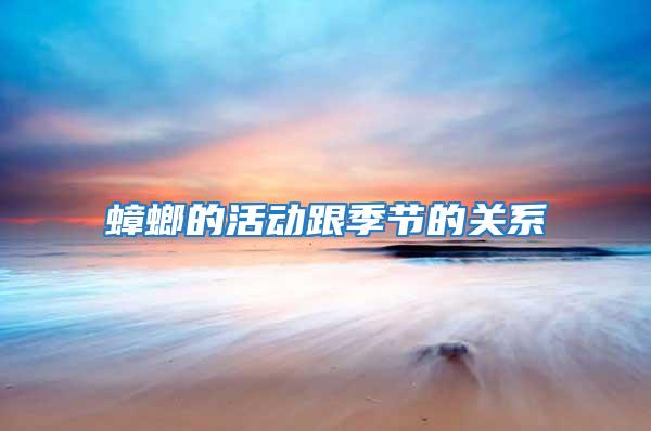 蟑螂的活動跟季節的關系