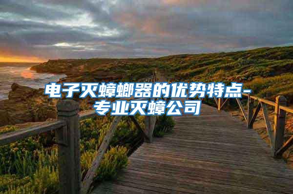 電子滅蟑螂器的優勢特點-專業滅蟑公司