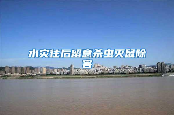 水災往后留意殺蟲滅鼠除害