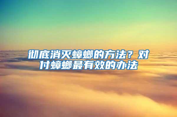 徹底消滅蟑螂的方法?對(duì)付蟑螂最有效的辦法