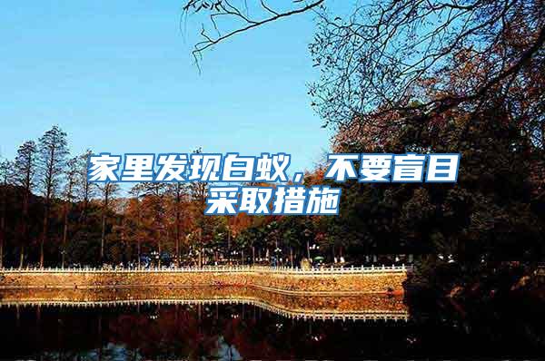 家里發現白蟻,不要盲目采取措施