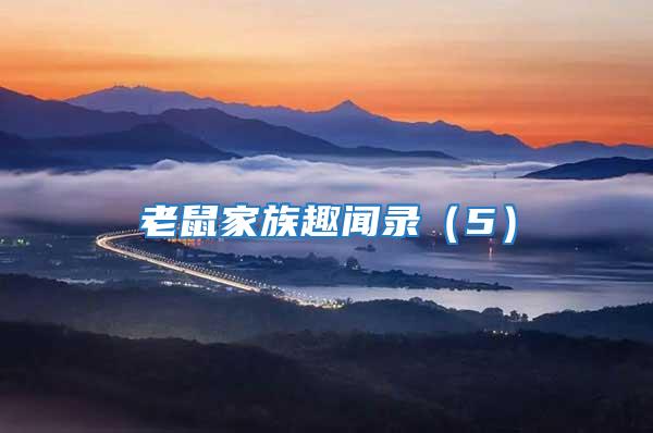 老鼠家族趣聞錄(5)