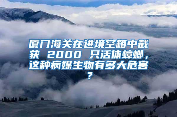 廈門海關在進境空箱中截獲 2000 只活體蟑螂,這種病媒生物有多大危害?