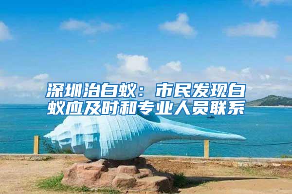 深圳治白蟻：市民發現白蟻應及時和專業人員聯系