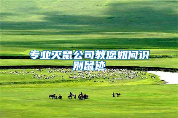 專業(yè)滅鼠公司教您如何識(shí)別鼠跡