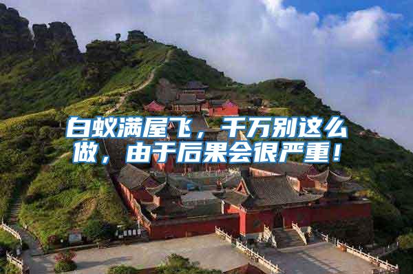 白蟻滿屋飛,千萬(wàn)別這么做,由于后果會(huì)很嚴(yán)重!