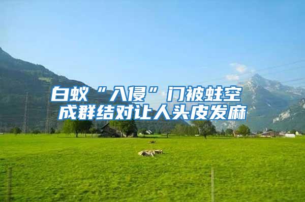 白蟻“入侵”門被蛀空 成群結(jié)對讓人頭皮發(fā)麻