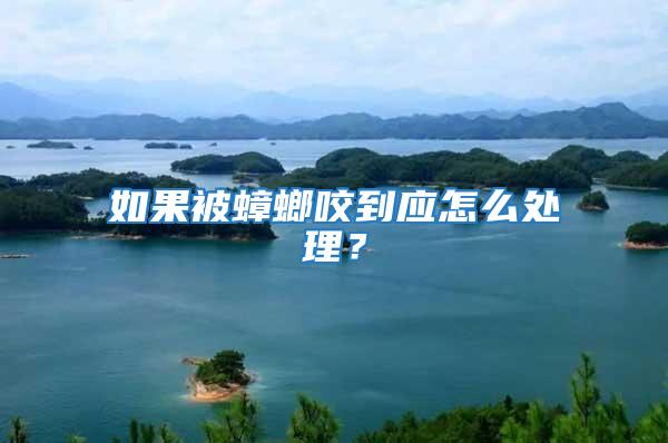 如果被蟑螂咬到應怎么處理?