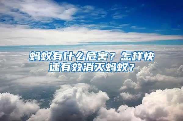 螞蟻有什么危害?怎樣快速有效消滅螞蟻?
