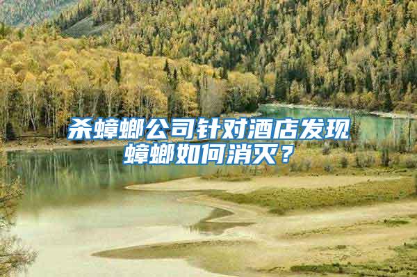 殺蟑螂公司針對酒店發現蟑螂如何消滅?