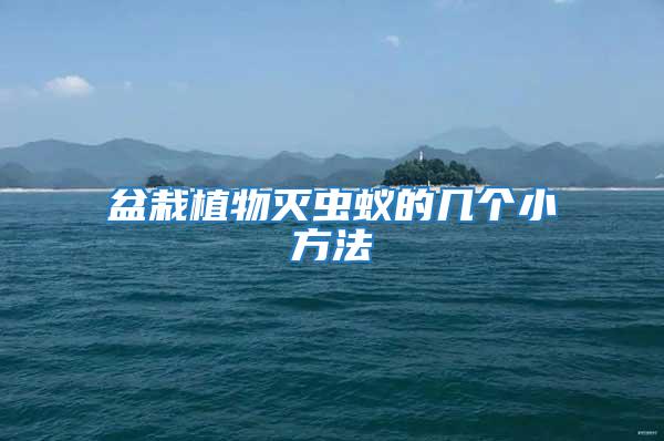 盆栽植物滅蟲(chóng)蟻的幾個(gè)小方法
