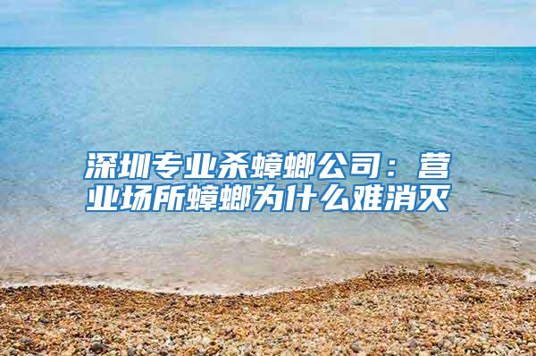 深圳專業殺蟑螂公司:營業場所蟑螂為什么難消滅