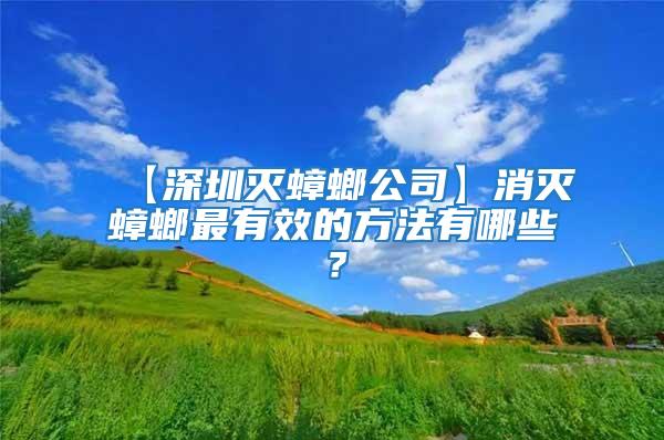 【深圳滅蟑螂公司】消滅蟑螂最有效的方法有哪些?
