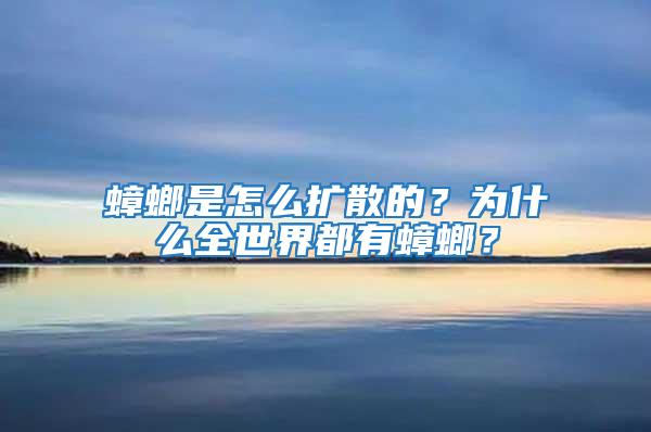 蟑螂是怎么擴散的?為什么全世界都有蟑螂?