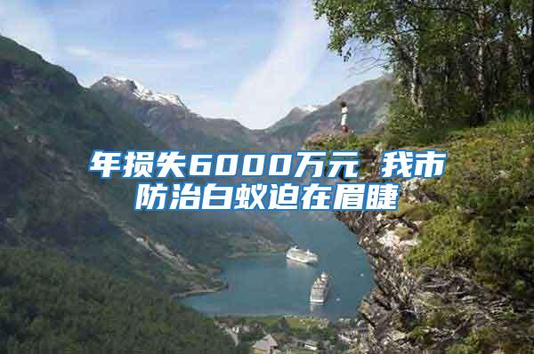 年損失6000萬元 我市防治白蟻迫在眉睫