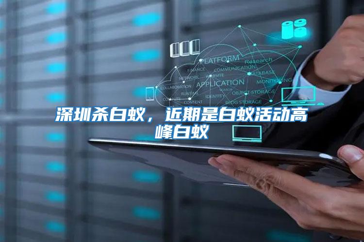 深圳殺白蟻，近期是白蟻活動高峰白蟻