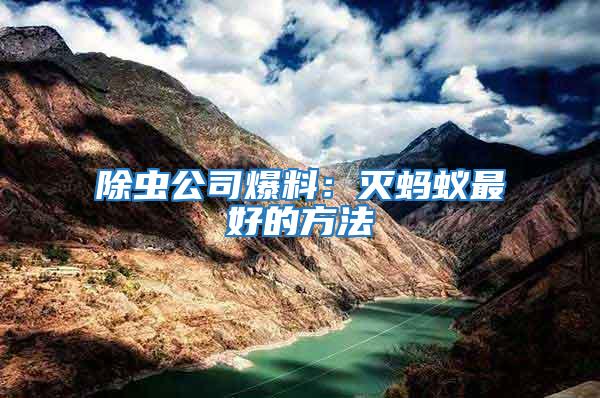 除蟲公司爆料:滅螞蟻最好的方法
