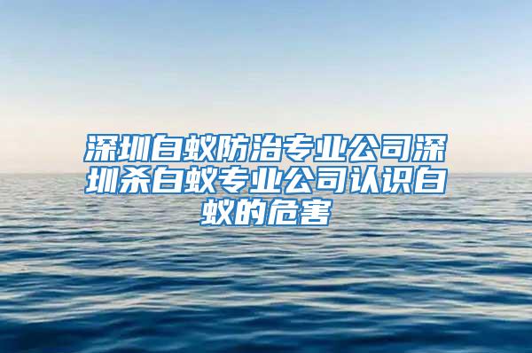深圳白蟻防治專業公司深圳殺白蟻專業公司認識白蟻的危害
