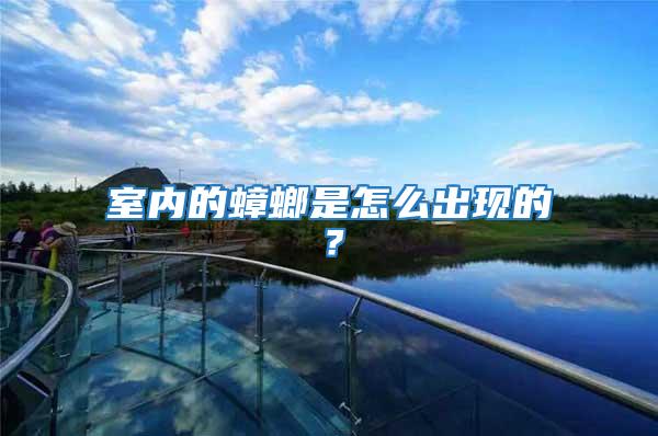 室內的蟑螂是怎么出現的？